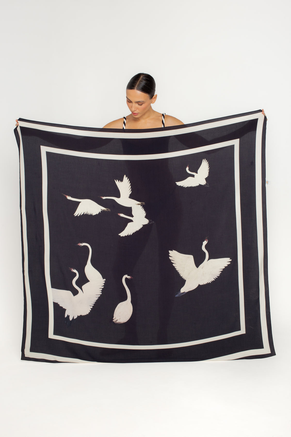 Heron Paréo